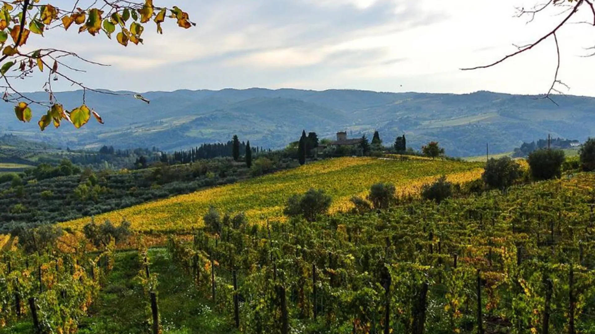 Holiday Home La Torre By Interhome Lucolena in Chianti